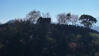 旅拍风景,美景,大自然,树木,植物,山峰,村落,全景,Eckartsberg (mountain),佐和山城