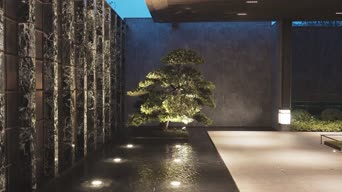 装饰,夜景,vlog,树木,植物,全景