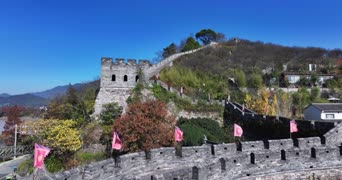 旅拍风景,配音,知识,树木,植物,全景