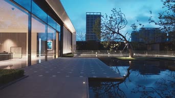 旅拍风景,城市,美景,夜景,萌宠,树木,高楼,全景