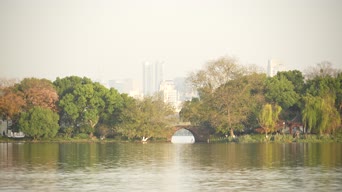 旅拍风景,美景,大自然,树木,植物,全景