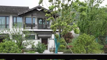 旅拍风景,配音,知识,树木,植物,全景