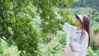 乡村生活,女神,萌宠,美景,植物,树木,衣服,花,全景