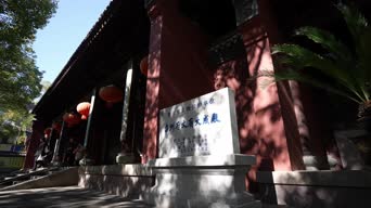 旅拍风景,消防,树木,植物,衣服,历史,全景
