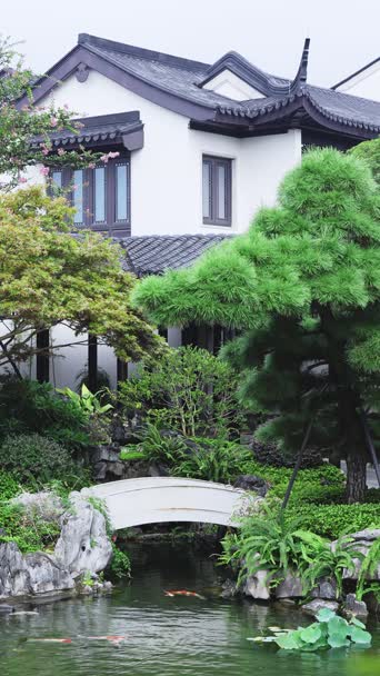 旅行记录,美景,旅拍,大自然,树木,植物,全景
