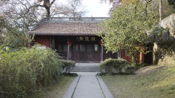 旅拍风景,配音,树木,植物,住宅,全景