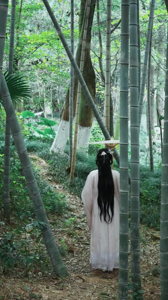 美女帅哥,美景,大自然,微胖女生,树木,植物,衣服,全景
