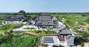 旅拍风景,美景,大自然,树木,植物,全景