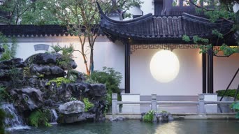 旅拍风景,配音,知识,植物,树木,全景