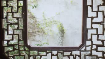 配音,知识,树木,植物,美国,拜登,美媒,全景
