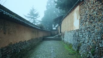 旅拍风景,配音,树木,植物,全景