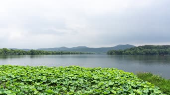 旅拍风景,美景,大自然,树木,植物,全景