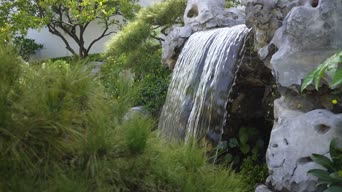 配音,植物,树木,瀑布,全景