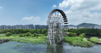 旅拍风景,配音,知识,树木,高楼,全景