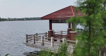 旅拍风景,配音,树木,全景