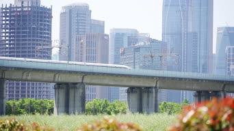 旅拍风景,农村,城市,高楼,植物,全景