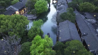 旅拍风景,美景,大自然,树木,植物,全景