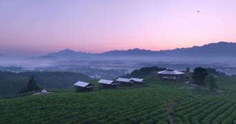 旅拍风景,美景,旅拍,大自然,树木,植物,全景
