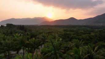 旅拍风景,大自然,美景,树木,植物,全景