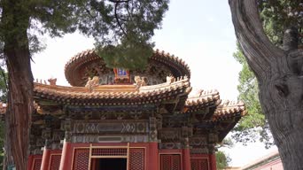 旅拍风景,配音,树木,全景,御花园