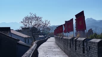 旅拍风景,知识,树木,植物,全景