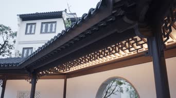 美景,树木,全景