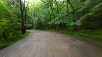 旅拍风景,街拍,配音,美景,大自然,树木,植物,山路,全景