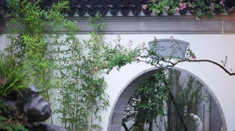 职业技能,歌曲演唱,vlog,植物,植物,花,树木,全景