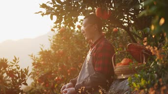 乡村生活,古典舞,街拍,女神,树木,植物,全景