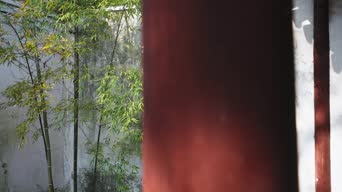 配音,知识,树木,植物,全景