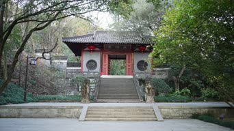 旅拍风景,配音,树木,植物,全景
