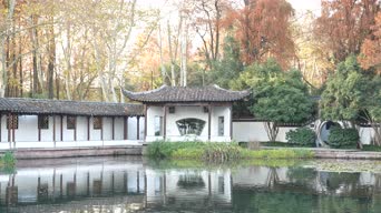 旅拍风景,配音,树木,植物,全景