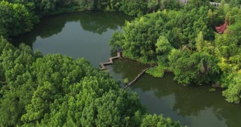 旅拍风景,大自然,美景,树木,植物,全景