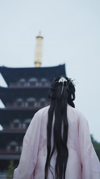 美女帅哥,服装服饰,古装,衣服,古塔,全景