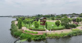 旅拍风景,记录,美景,大自然,树木,植物,全景