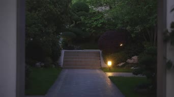 星座运势,配音,知识,树木,植物,楼梯,全景