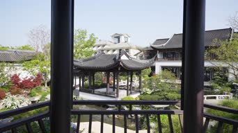 旅拍风景,美景,大自然,树木,植物,全景