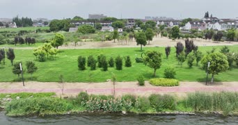 旅拍风景,配音,知识,树木,植物,全景