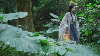 美女帅哥,配音,植物,树木,衣服,全景