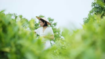 乡村生活,街拍,女装,女神,美景,植物,花,衣服,树木,全景