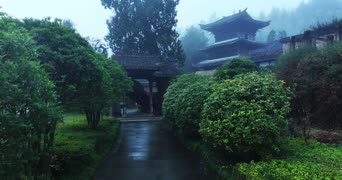 旅拍风景,美景,大自然,树木,植物,全景