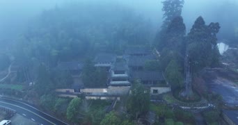 旅拍风景,配音,树木,植物,全景