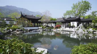 旅拍风景,配音,树木,植物,全景