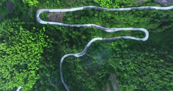 旅拍风景,美景,大自然,树木,植物,全景