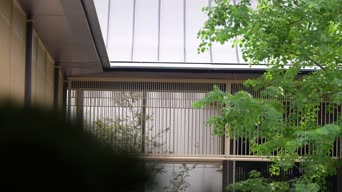配音,植物,树木,全景
