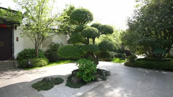 配音,树木,植物,全景