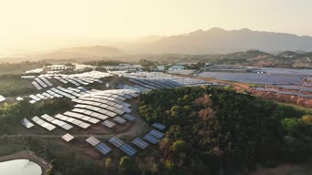 旅拍风景,美景,大自然,城市,树木,全景