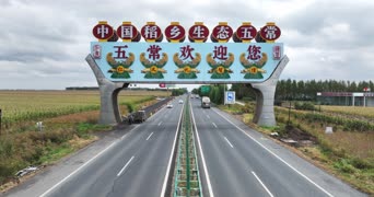旅拍风景,配音,知识,植物,树木,中国,全景