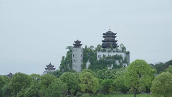 旅拍风景,配音,知识,树木,植物,全景,千山