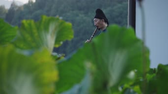 乐器演奏,植物,衣服,树木,全景